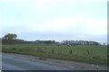 Country contrasts in Lathom