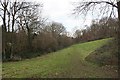 Woodland within urban area, Maidstone in ME15 8FY