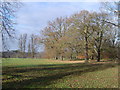 Watford: Cassiobury Park, Christmas morning 2005 in WD18 7LB