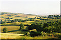Butterleigh: near Coombe in EX15 1PW