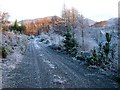 Frosty Forest Track in PA38 4BA