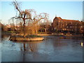 Frozen pond, Feltham Green in TW13 7JQ