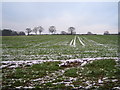 Winter Crops Near Millison's Wood in CV5 9AY