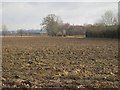 Ploughed Fields north of Northope in Thurlby