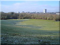 Amphitheatre, Basingstoke Common in RG21 4PQ