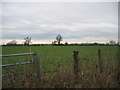 Field near Furzen Lease in Siddington