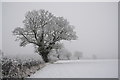Wintry scene in Doddington in LN6 4RT