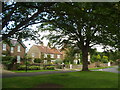 Village Green and Houses in Sutton Howgrave in DL8 2NT