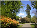 Hazlehead Park in Spring in AB15 8BE