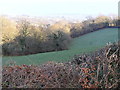 Wooded valley, looking north in TQ12 6UG