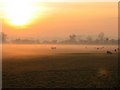 Mist over the Soar Valley, Sileby in LE12 7LR