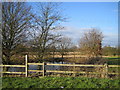Pond Opposite Brailes Farm in CV7 7NL