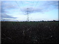 Fields spoilt by pylons in GU34 3AL