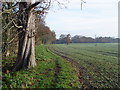 Letchmore Heath: The footpath from Patchetts Green in WD6 3BU