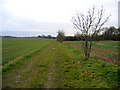 Port Way bridleway S of Hardwick, Cambs in CB23 7EW