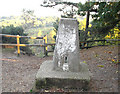 Triangulation Pillar, St Catherine's Hill, Bosley Heath in BH23 2SP