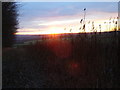 Field next to Bloom Wood at sunset in Flackwell Heath, Little Marlow and Marlow South East Ward