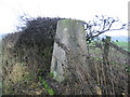 Triangulation Pillar at West House Field Farm in TS21 2HX