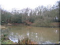 Earl's Path Pond in IG10 4AA