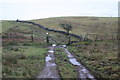Bridleway and Gate in CA7 1HF