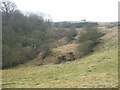 Old workings by a burn in KY15 7TR