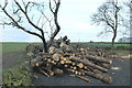 Winter logs and winter crops, near Birds Edge in HD8 8BE