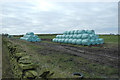 Silage bags at Low Common in HD8 8YD