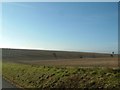 Fields above Froxfield in SN8 3LE