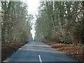 The road to Great Bedwyn in SN8 3HY