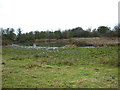 Disused Clay Quarry in MK44 1BS