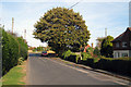Road at Hooe, East Sussex in TN33 9HT