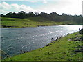 River Ribble near Ribchester in PR3 3XU
