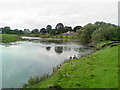 River Ribble, Ribchester in PR3 3ZL