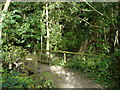 Footbridge, Harrison's Plantation in NG8 2DA