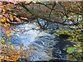River Calder in Calderglen Country Park in G74 2DR