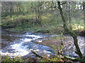 Calder Water in Calderglen Country Park in G75 0QZ