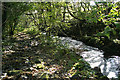 Lydford: by the Willsworthy Brook in PL19 9NB
