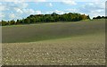 Farmland beneath Thruxton Hill south of the old A303, Hampshire in SP4 0EF