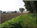 Footpath across fields in Swanton Abbott