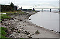 Mersey shore at Wigg Island in Halton (B)