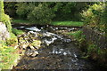 The Barbrook joining the West Lyn River in EX35 6PF