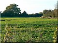 Farmland, north of Lower Wanborough, Swindon in SN3 0AQ