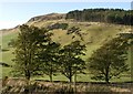 Looking towards Gask Hill from North Ballo in PH13 9LD