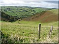 Field near Lake House Ground in Newcastle on Clun