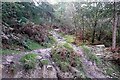 Track into Gethin forest in CF48 1YZ