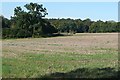 Farmland at Exlade Street in RG8 0UA