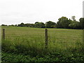 Field near Mintridge in HR7 4HA