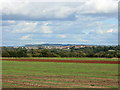 2008 : Partly ploughed field near Thingley in SN15 2NG