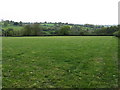 Field above Little Cowarne in HR7 4RQ
