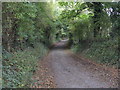 Bridleway to Durstone Cottages in HR7 4SH